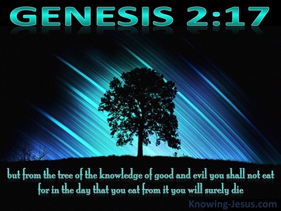 Genesis 2:17 Tree Of Knowledge Of Good And Evil (black)